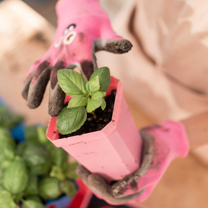 Load image into Gallery viewer, 3.3" Heavy Duty Seed Starting Pots
