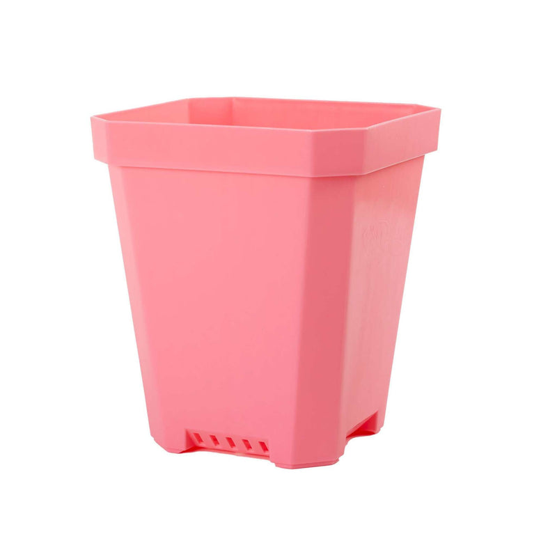 Load image into Gallery viewer, 5" Heavy Duty Nursery Pots
