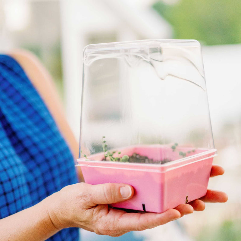Load image into Gallery viewer, 5x5 Deep Grow Tray Inserts
