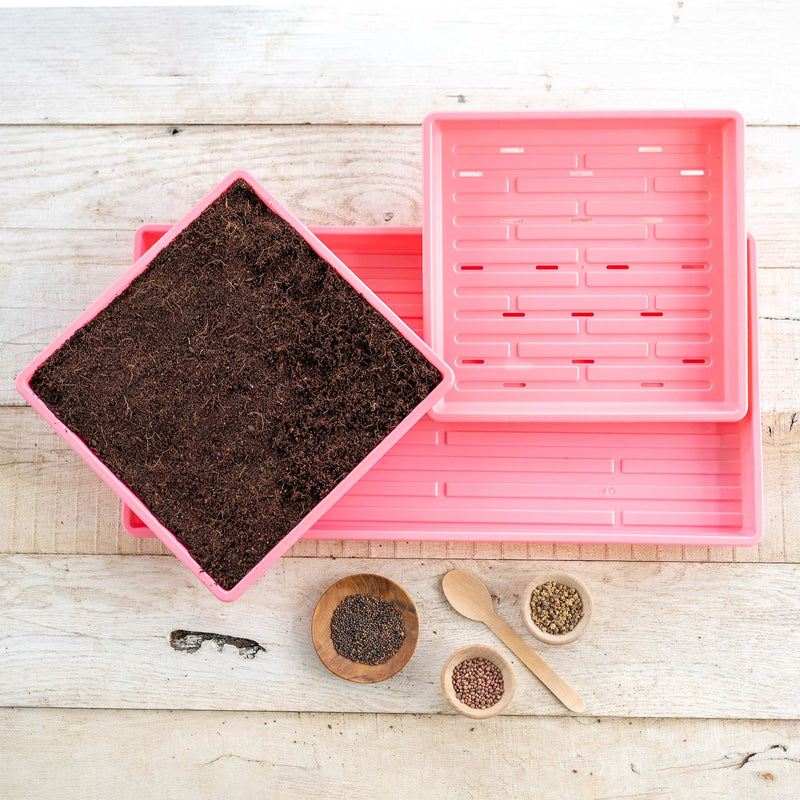 Load image into Gallery viewer, 1010 Microgreens Kit
