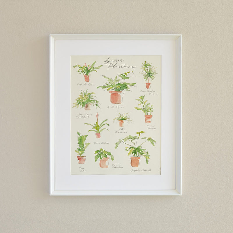 Load image into Gallery viewer, Plant Species Poster
