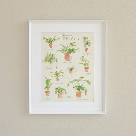 Plant Species Poster, additional product view 2