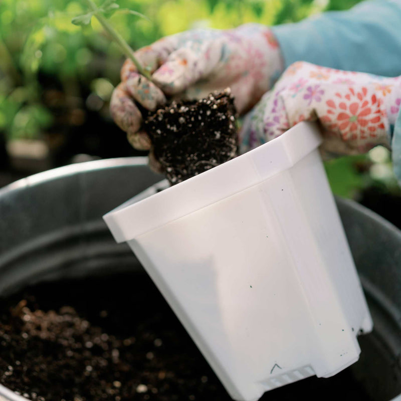Load image into Gallery viewer, 5" Nursery Pots with Insert Tray
