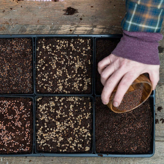5X5 Extra Strength Shallow Microgreen Trays