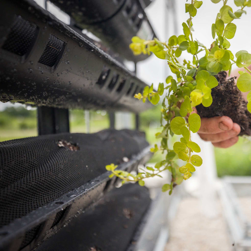 Load image into Gallery viewer, Varden™ Kitchen Garden
