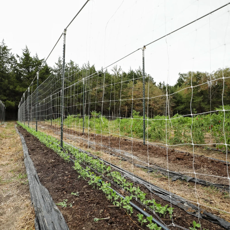 Load image into Gallery viewer, Trellis Netting | 6" Mesh from Bootstrap Farmer at GrowTime Garden Supply
