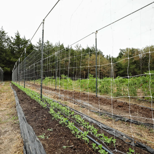 Trellis Netting | 6" Mesh from Bootstrap Farmer at GrowTime Garden Supply