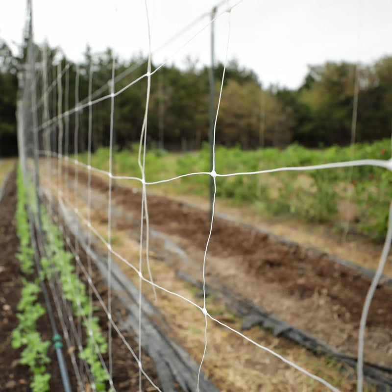 Load image into Gallery viewer, Trellis Netting | 6" Mesh
