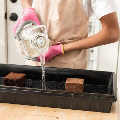 Mushroom Grow Kit, additional product view 2