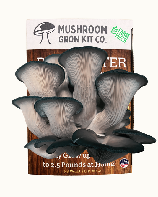 3 Pack - Premium Lion's Mane, Pink, and Blue Oyster Mushroom Growing Kit - 15 LBS