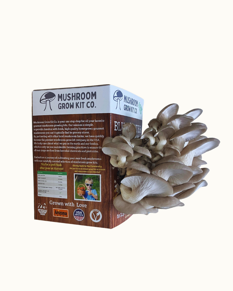 Load image into Gallery viewer, Premium Blue Oyster Mushroom Growing Kit - 5 LBS
