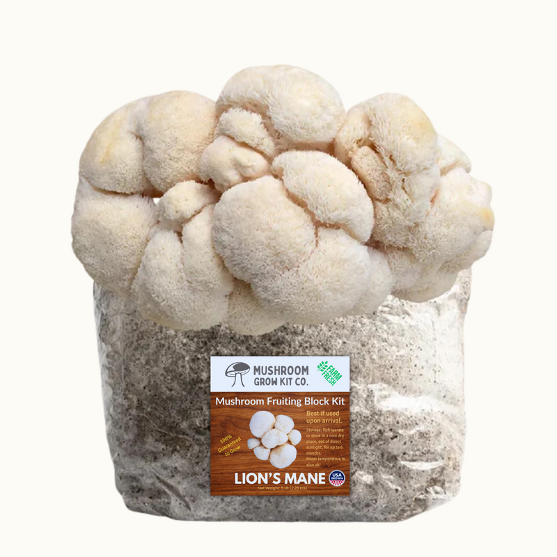 Load image into Gallery viewer, 4 Pack - Premium Lion's Mane, Gold, Pink, and Blue Oyster Mushroom Fruiting Block Grow Kits - 20 LBS
