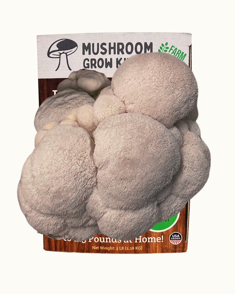 Load image into Gallery viewer, Premium Lion's Mane Mushroom Growing Kit - 5 LBS
