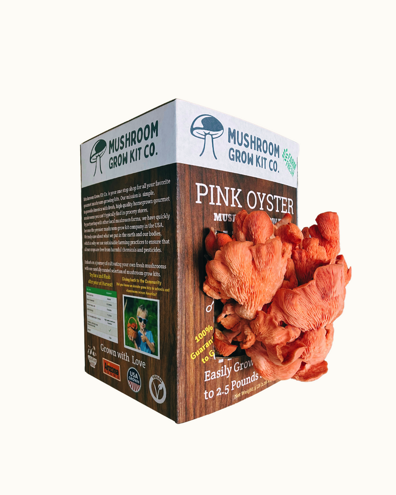 Load image into Gallery viewer, Premium Pink Oyster Mushroom Growing Kit - 5 LBS
