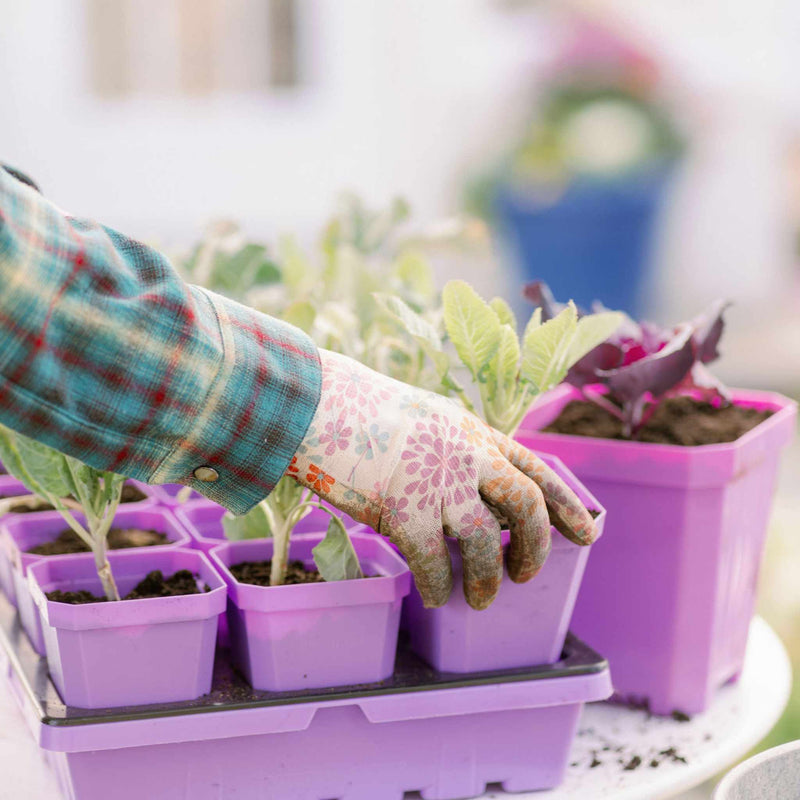 Load image into Gallery viewer, 3.3" Heavy Duty Seed Starting Pots with Inserts
