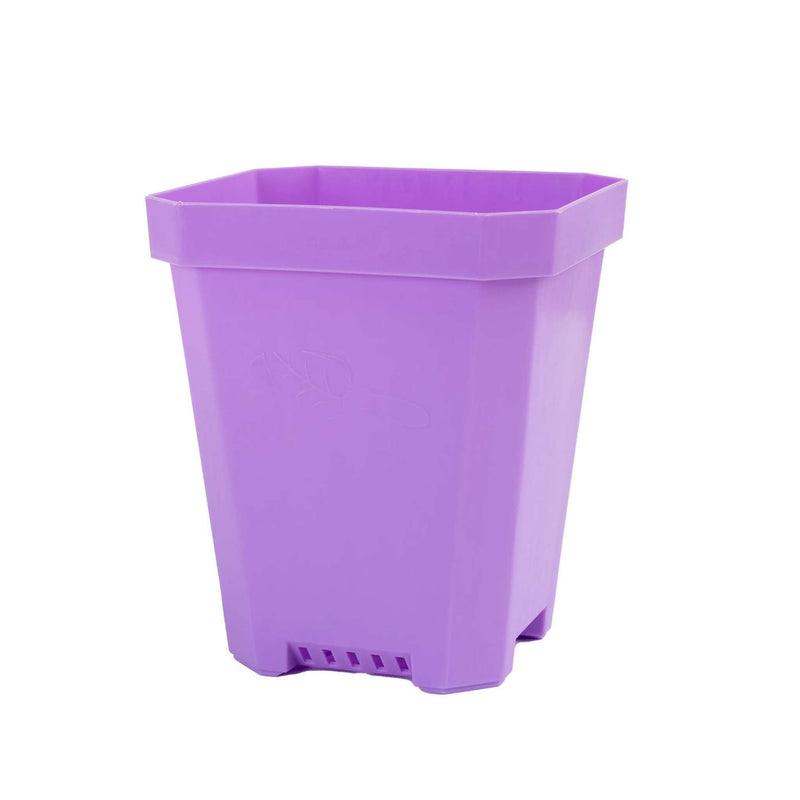 Load image into Gallery viewer, 5" Heavy Duty Nursery Pots
