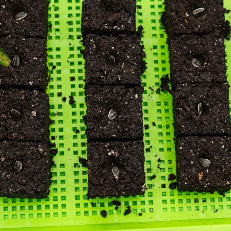 Load image into Gallery viewer, Soil Blocking Starter Kit
