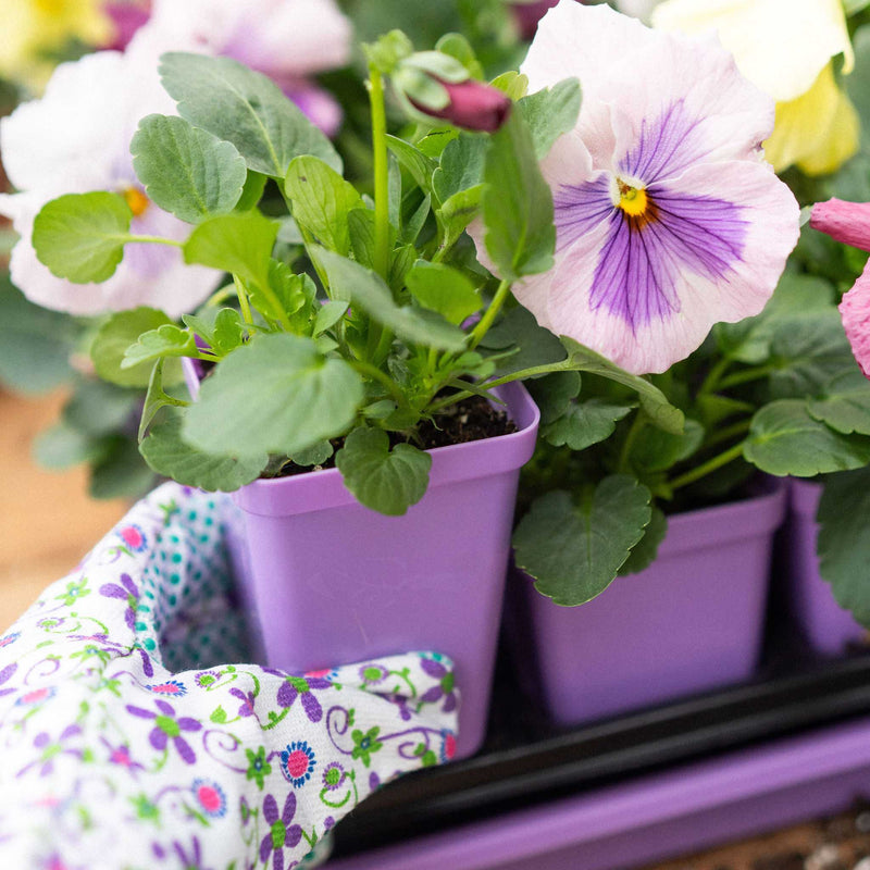 Load image into Gallery viewer, Seed Starter Pots - 2.5" Extra Strength
