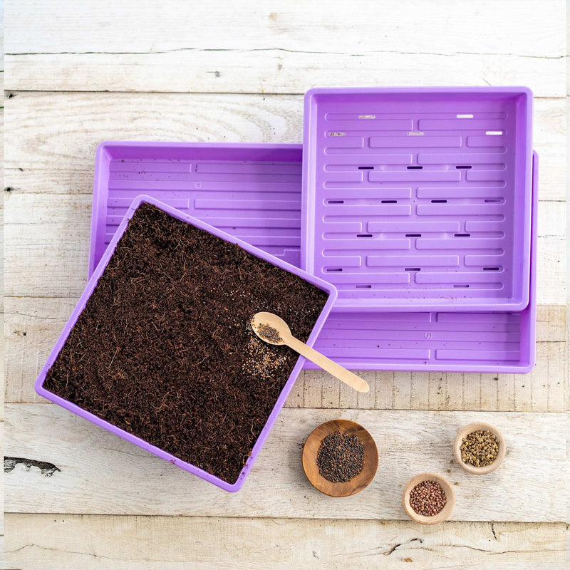 Load image into Gallery viewer, 1010 Microgreens Kit

