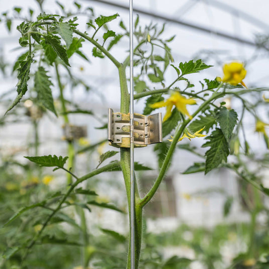 Qlipr Trellising System from Bootstrap Farmer at GrowTime Garden Supply