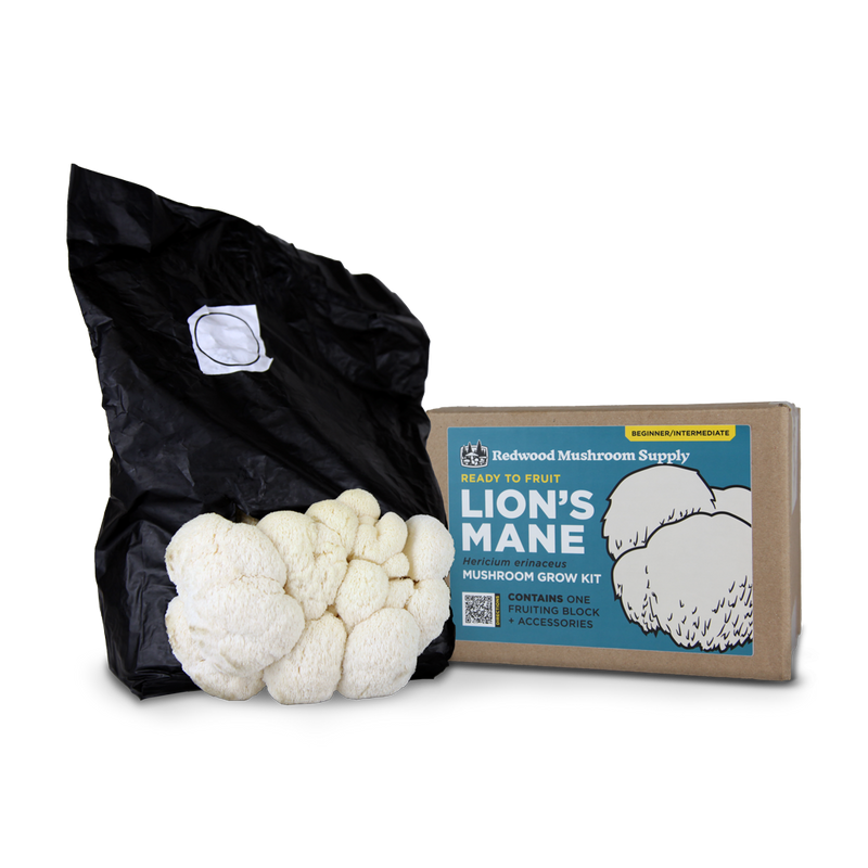 Load image into Gallery viewer, Lion's Mane Mushroom Grow Kit
