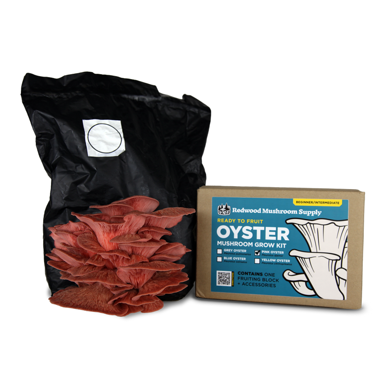 Load image into Gallery viewer, Pink Oyster Mushroom Grow Kit
