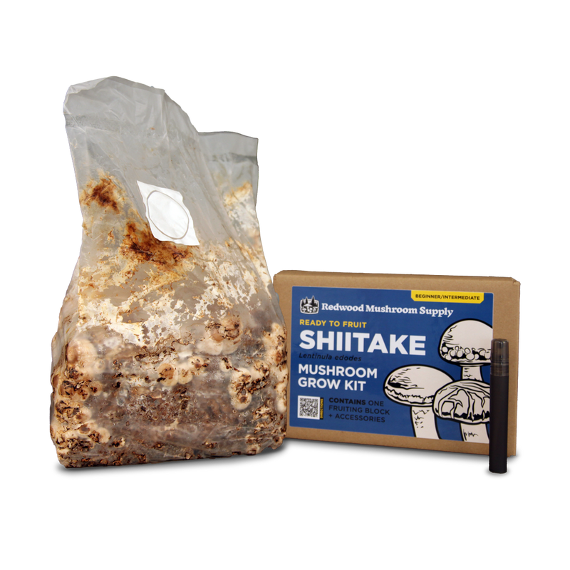 Load image into Gallery viewer, Shiitake Mushroom Grow Kit
