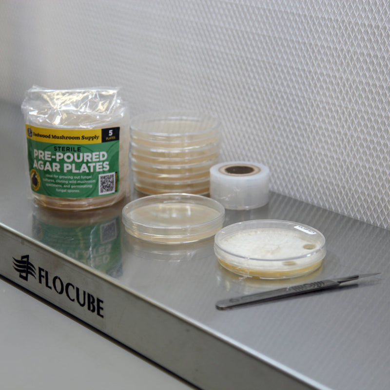 Load image into Gallery viewer, Pre-Poured Agar Plates
