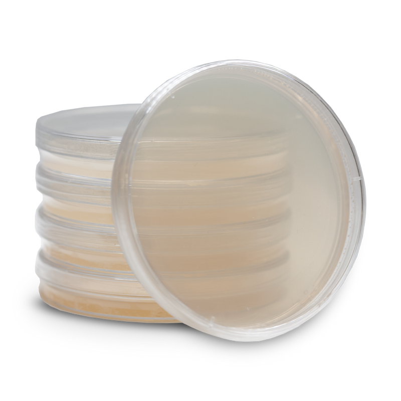 Load image into Gallery viewer, Pre-Poured Agar Plates
