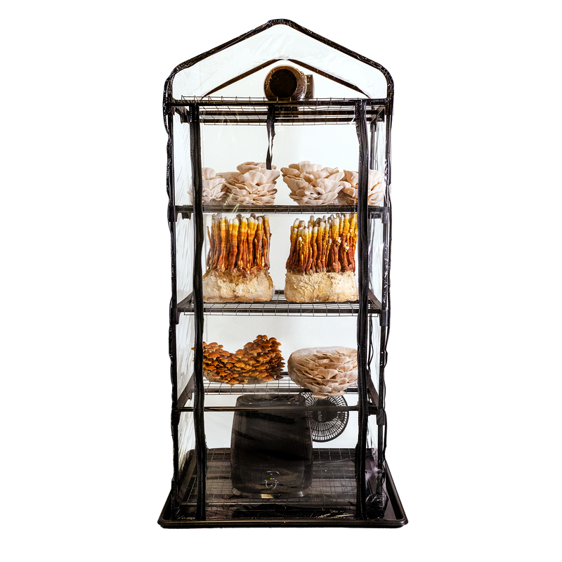 Load image into Gallery viewer, ShroomRoom: Mushroom Grow Tent
