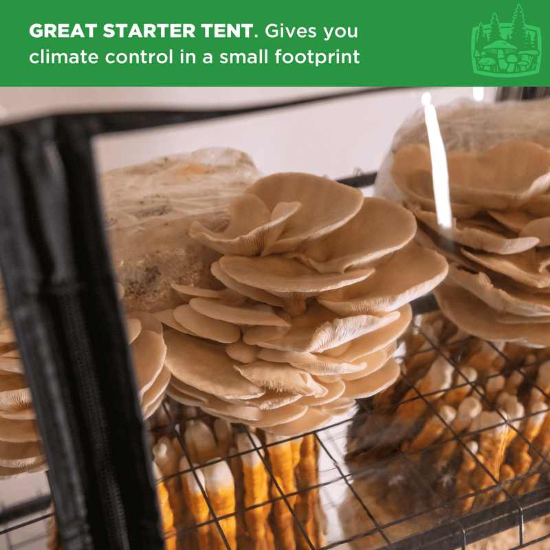 Load image into Gallery viewer, ShroomRoom: Mushroom Grow Tent
