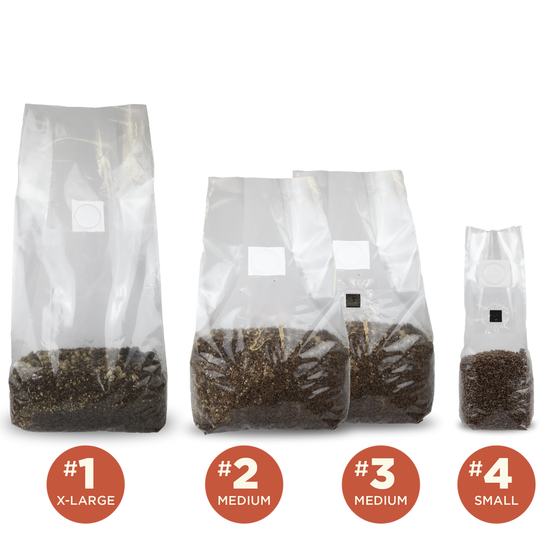 Load image into Gallery viewer, Sakato PP Mushroom Grow Bags
