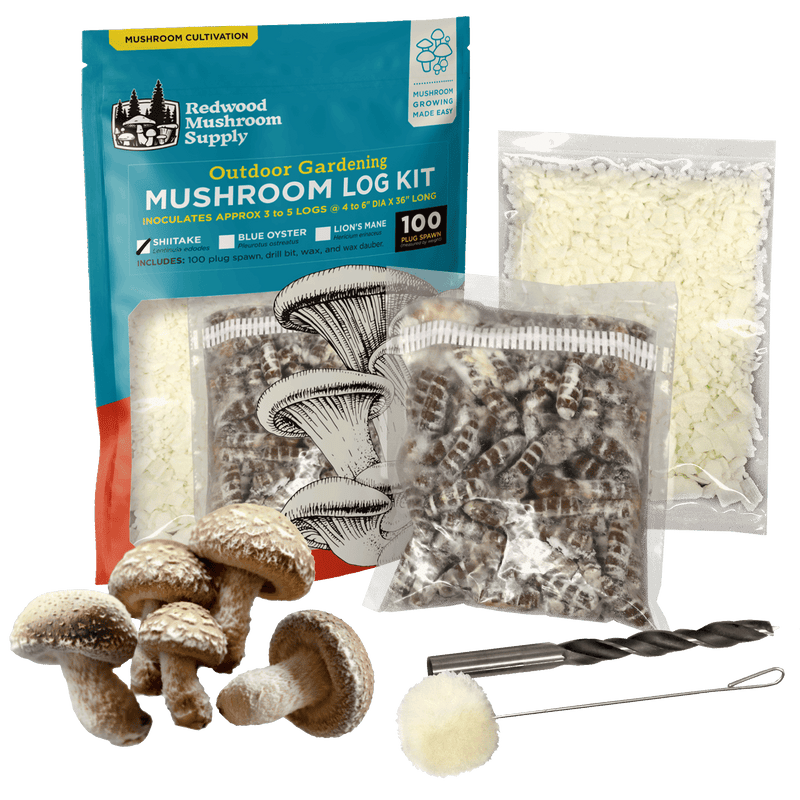 Load image into Gallery viewer, Shiitake Mushroom Outdoor Log Starter Kit
