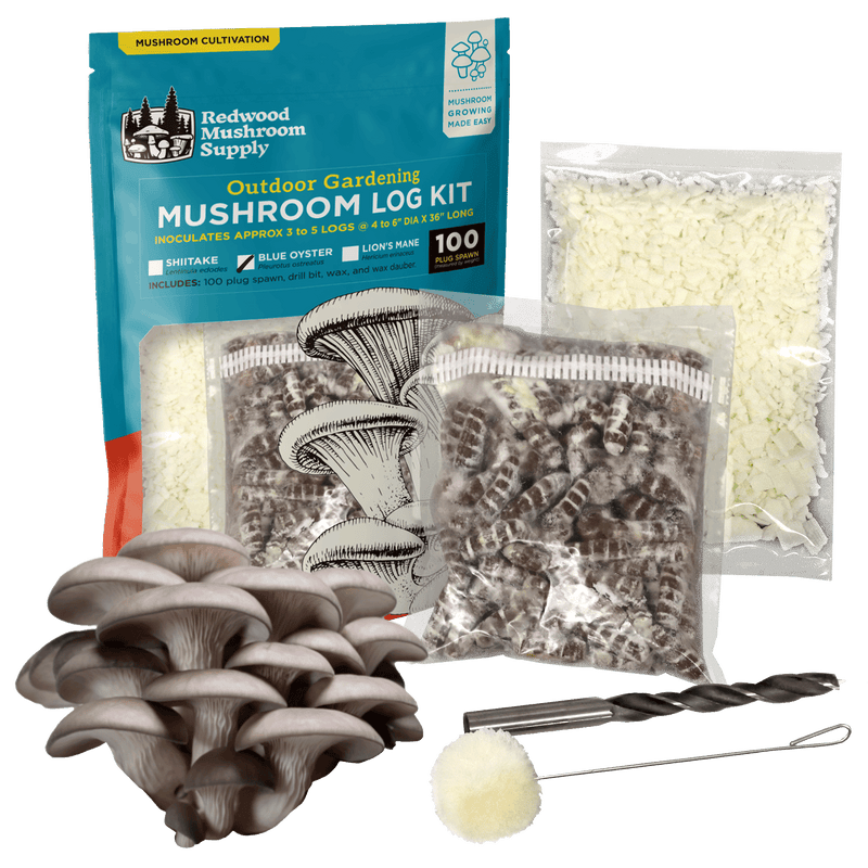 Load image into Gallery viewer, Blue Oyster Mushroom Outdoor Log Starter Kit

