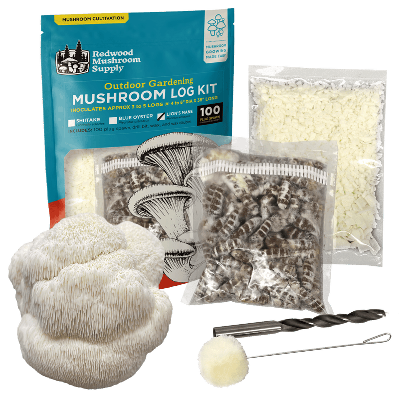 Load image into Gallery viewer, Lion's Mane Mushroom Outdoor Log Starter Kit

