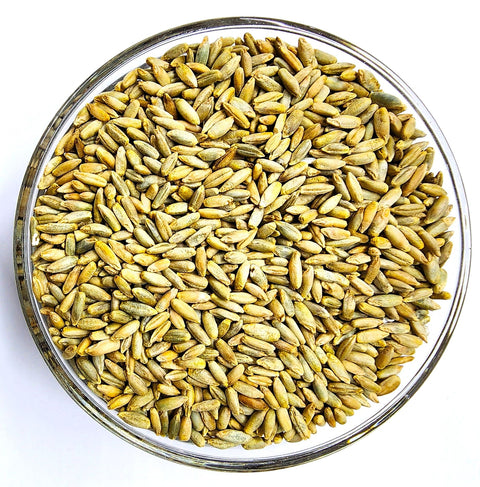 Winter Rye OG — The Soil Makers cover crop seed.