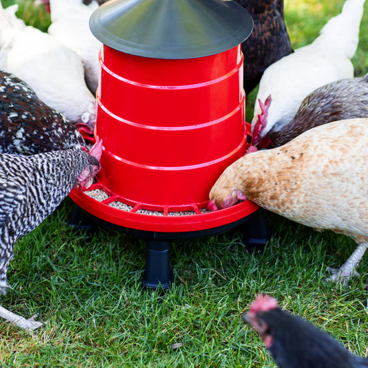 Heritage Poultry Feeder & Waterer Duo shown in product view 6