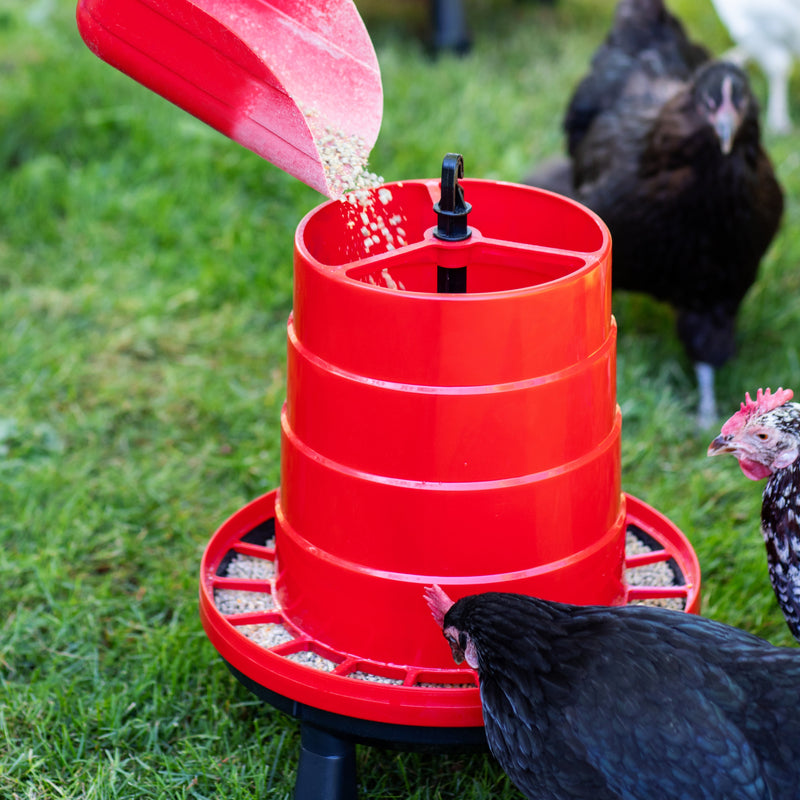 Load image into Gallery viewer, Heritage Poultry Feeder &amp; Waterer Duo shown in product view 2
