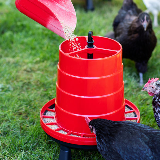 Heritage Poultry Feeder & Waterer Duo shown in product view 2