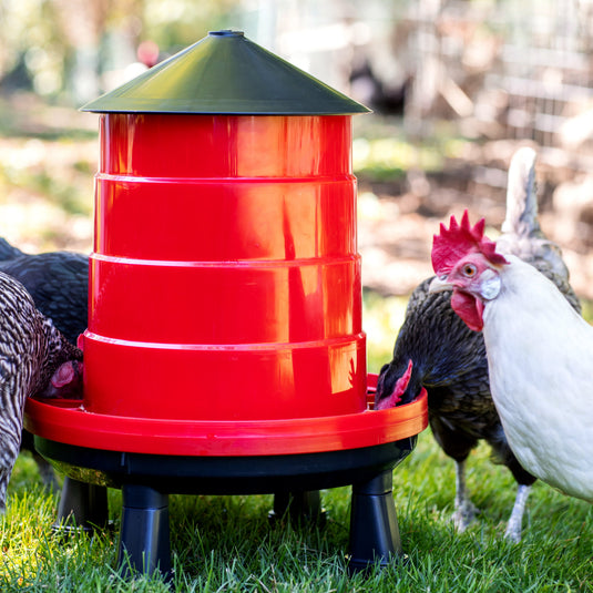Heritage Poultry Feeder & Waterer Duo shown in product view 8