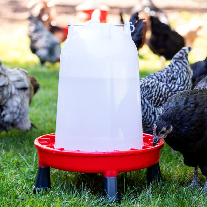 Load image into Gallery viewer, The Poultry Supply Co. Heritage Duo - All-in-One Feeder &amp; Waterer
