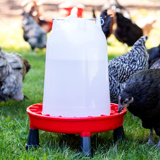 Heritage Poultry Feeder & Waterer Duo shown in product view 4