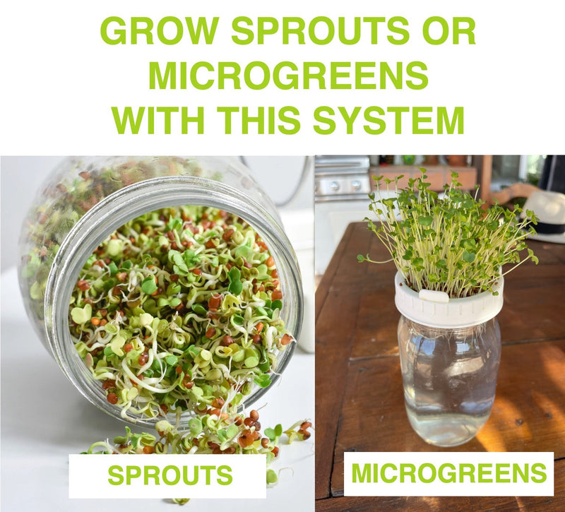 Load image into Gallery viewer, Jar Sprouts Growing Kit
