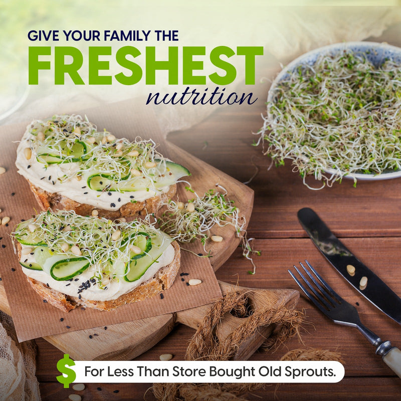 Load image into Gallery viewer, ZESTIGREENS Tiered Sprouting Kit with Drain Spout – Stackable Seed Sprouter Trays for Growing Fresh Sprouts at Home – BPA-Free, Easy Rinse &amp; Drain System
