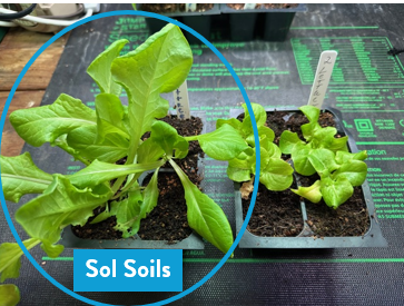 Load image into Gallery viewer, Seedling &amp; Propagation Mix
