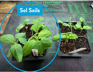 Load image into Gallery viewer, Seedling &amp; Propagation Mix
