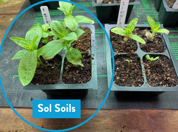 Load image into Gallery viewer, Seedling &amp; Propagation Mix
