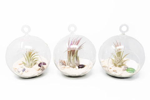 Beachy Globe Terrariums White Sand Set of 3