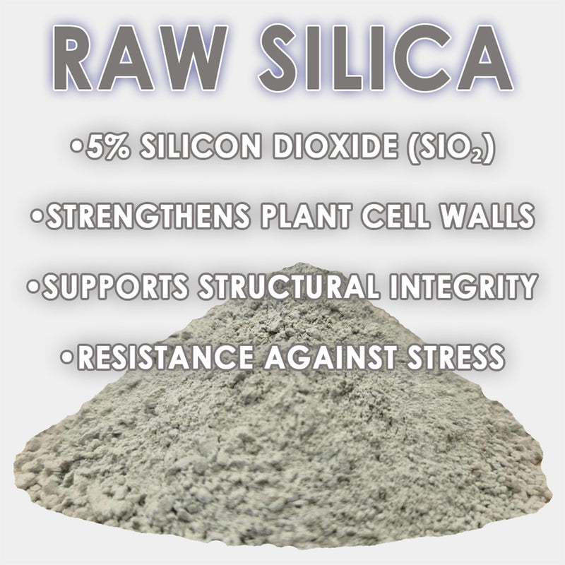 Load image into Gallery viewer, RAW Silica | 45% Silicon Dioxide | pH Neutral Biogenic Silica
