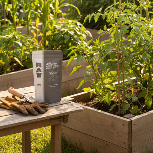 RAW Silica | 45% Silicon Dioxide | pH Neutral Biogenic Silica